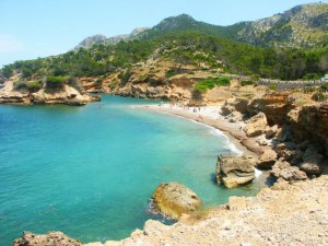 plato-visitasmallorca-visitas-mallorca-15520